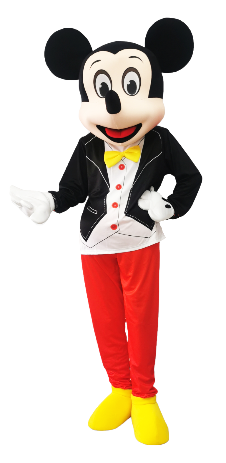 Mr&Mrs Mouse - Mascot Costume