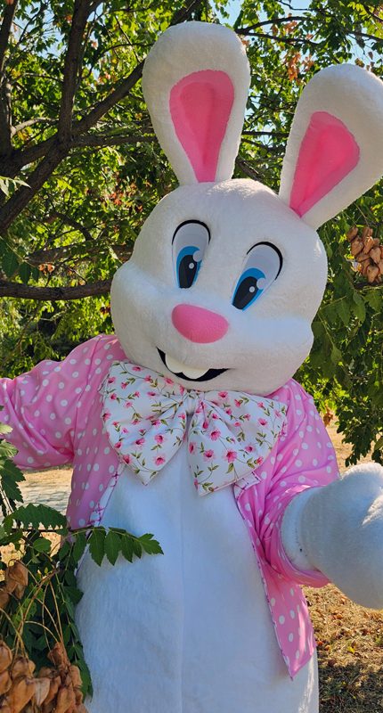 Easter Bunny Mascot Costume, Adult Mascot Costume, Party Mascot Costume, Event Mascot Costume, Birthday Party Costume, Luxury Mascot Costume