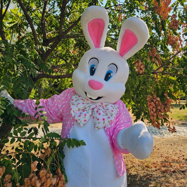 Easter Bunny Mascot Costume, Adult Mascot Costume, Party Mascot Costume, Event Mascot Costume, Birthday Party Costume, Luxury Mascot Costume