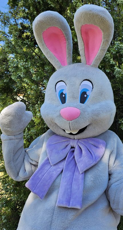 Easter Bunny Mascot Costume, Adult Mascot Costume, Party Mascot Costume, Event Mascot Costume, Birthday Party Costume, Luxury Mascot Costume