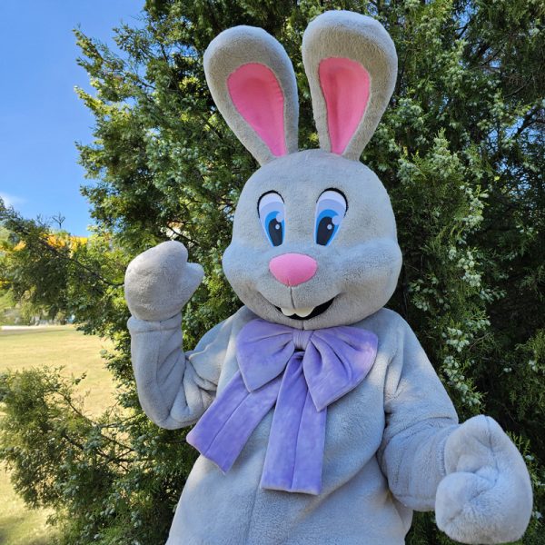 Easter Bunny Mascot Costume, Adult Mascot Costume, Party Mascot Costume, Event Mascot Costume, Birthday Party Costume, Luxury Mascot Costume