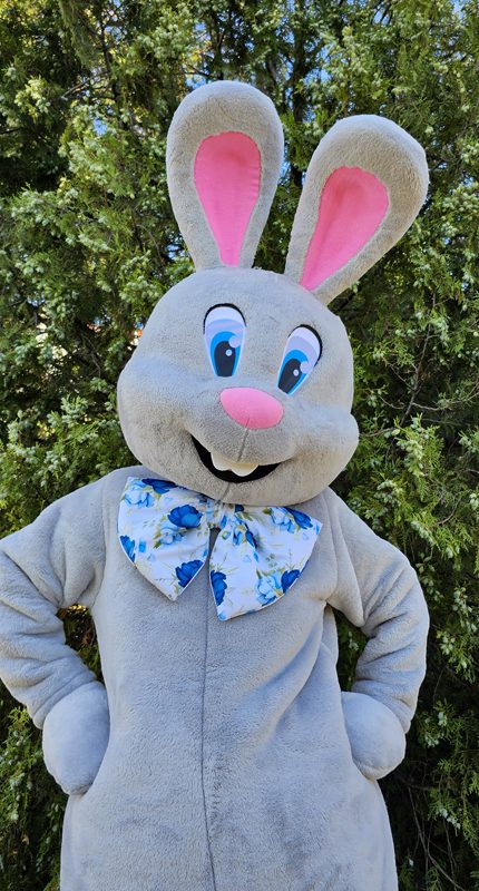 Easter Bunny Mascot Costume, Adult Mascot Costume, Party Mascot Costume, Event Mascot Costume, Birthday Party Costume, Luxury Mascot Costume