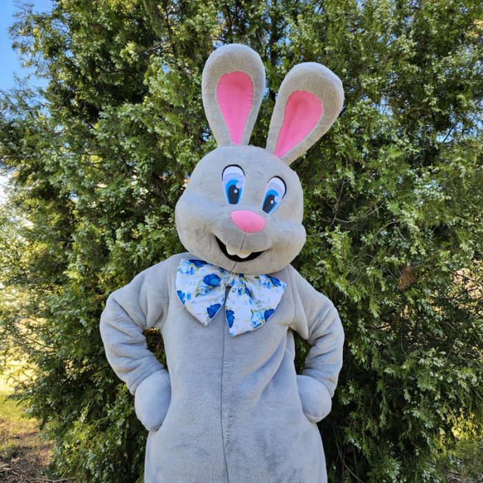 Easter Bunny Mascot Costume, Adult Mascot Costume, Party Mascot Costume, Event Mascot Costume, Birthday Party Costume, Luxury Mascot Costume