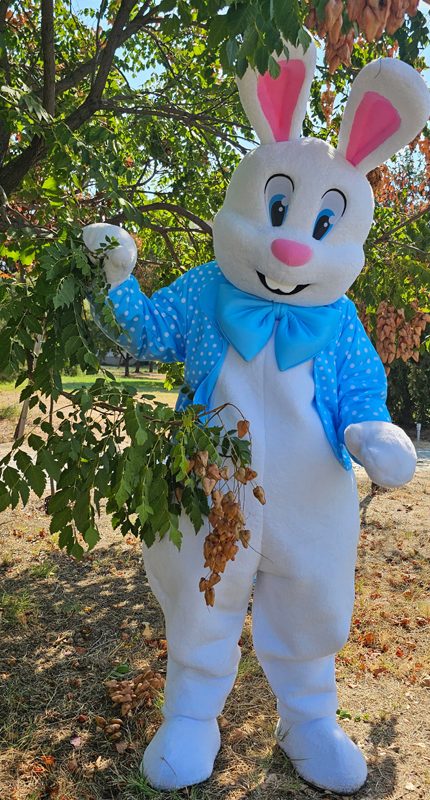 easter bunny mascot saharacostumes - mascot costumes