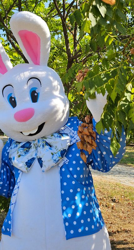 Easter Bunny Mascot Costume, Adult Mascot Costume, Party Mascot Costume, Event Mascot Costume, Birthday Party Costume, Luxury Mascot Costume