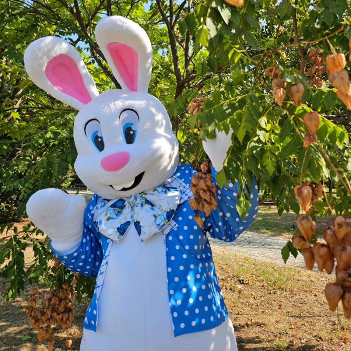 Easter Bunny Mascot Costume, Adult Mascot Costume, Party Mascot Costume, Event Mascot Costume, Birthday Party Costume, Luxury Mascot Costume