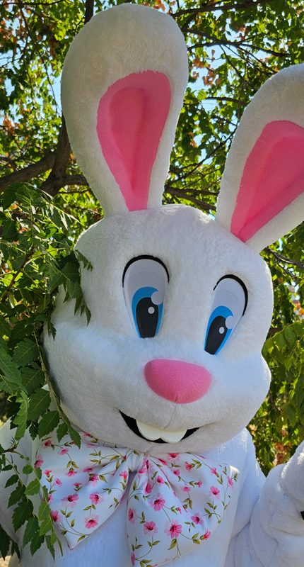 easter bunny mascot saharacostumes - mascot costumes