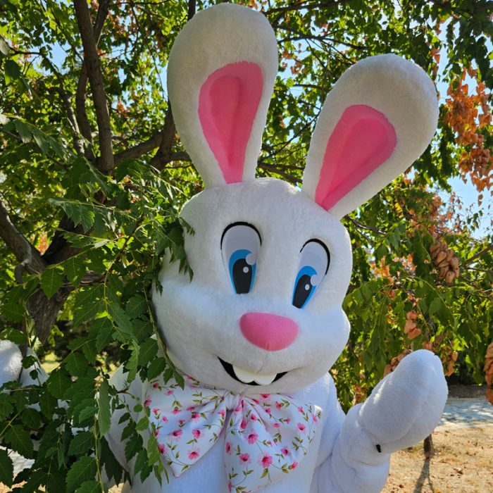 easter bunny mascot saharacostumes - mascot costumes