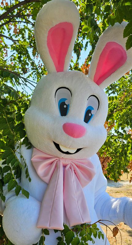 Easter Bunny Mascot Costume, Adult Mascot Costume, Party Mascot Costume, Event Mascot Costume, Birthday Party Costume, Luxury Mascot Costume