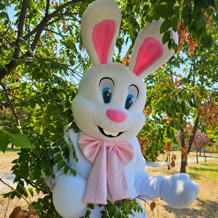 Easter Bunny Mascot Costume, Adult Mascot Costume, Party Mascot Costume, Event Mascot Costume, Birthday Party Costume, Luxury Mascot Costume