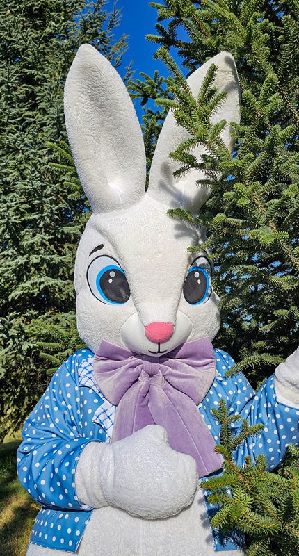 easter-bunny-mascot-saharacostumes-mascot-costumes-AS21432.jpg