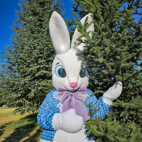 easter-bunny-mascot-saharacostumes-mascot-costumes-AS21432.jpg