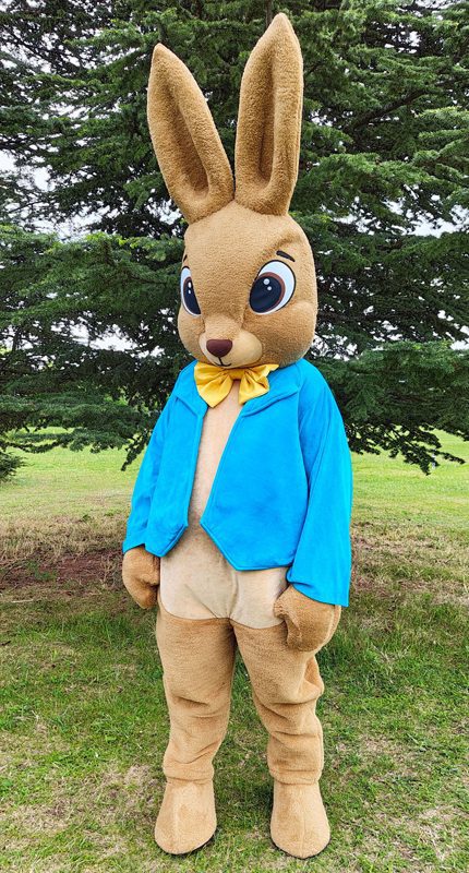 easter-bunny-mascot-saharacostumes-mascot-costumes-BB4.jpg