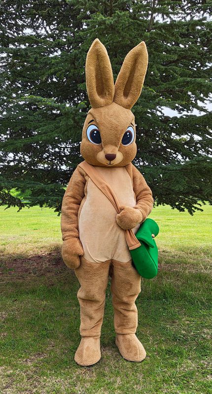 easter-bunny-mascot-saharacostumes-mascot-costumes-C2.jpg