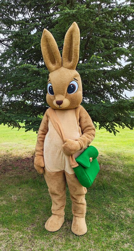 easter-bunny-mascot-saharacostumes-mascot-costumes-C3.jpg