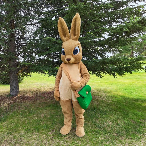 easter-bunny-mascot-saharacostumes-mascot-costumes-C3.jpg