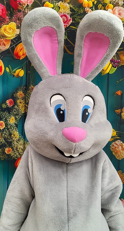 easter-bunny-mascot-saharacostumes-mascot-costumes-DR39.jpg