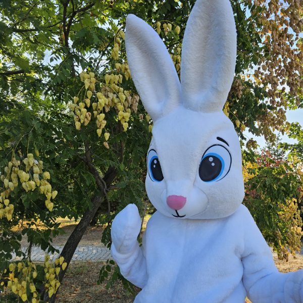 easter-bunny-mascot-saharacostumes-mascot-costumes-F5543242.jpg