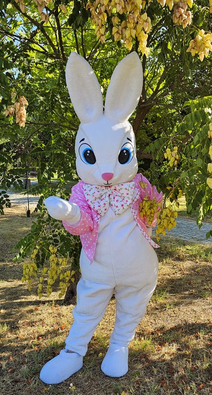 easter-bunny-mascot-saharacostumes-mascot-costumes-G9893O277.jpg