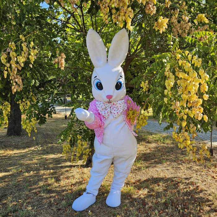 easter-bunny-mascot-saharacostumes-mascot-costumes-G9893O277.jpg