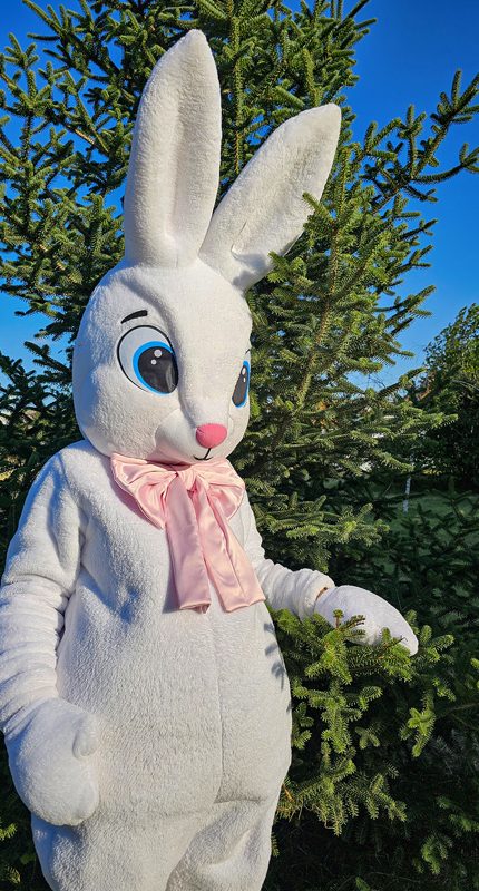 easter-bunny-mascot-saharacostumes-mascot-costumes