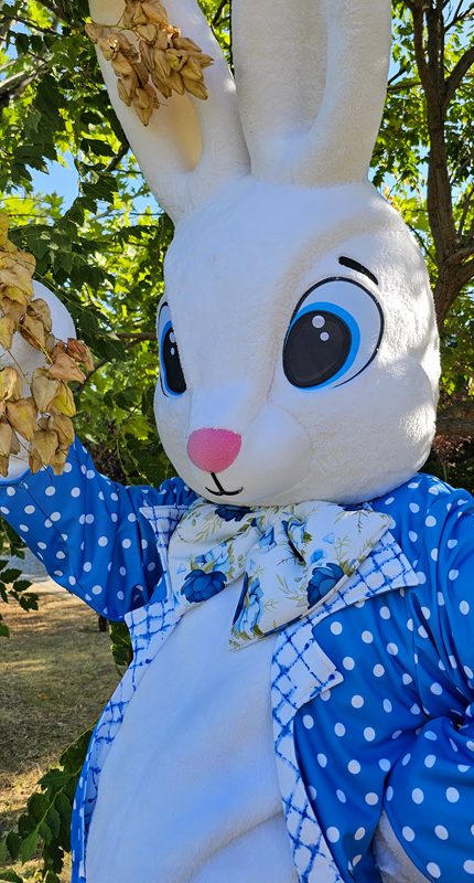 easter-bunny-mascot-saharacostumes-mascot-costumes-P9893O21.jpg