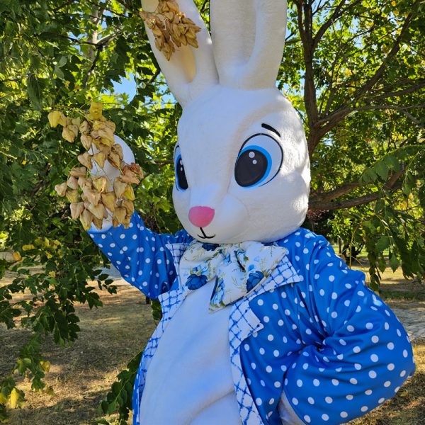 easter-bunny-mascot-saharacostumes-mascot-costumes-P9893O21.jpg