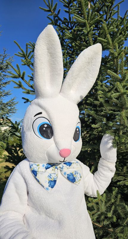 easter-bunny-mascot-saharacostumes-mascot-costumes