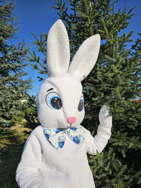 easter-bunny-mascot-saharacostumes-mascot-costumes