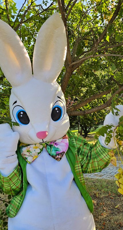 easter-bunny-mascot-saharacostumes-mascot-costumes-S9893O23.jpg