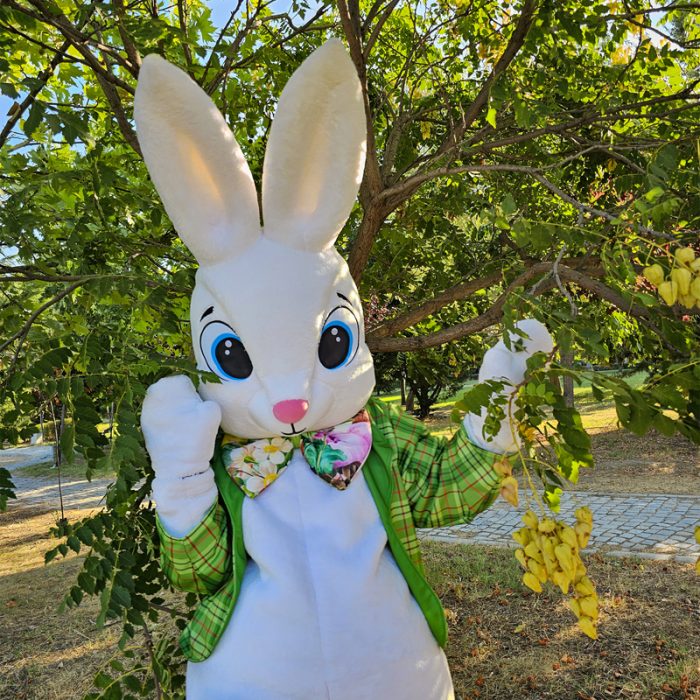 easter-bunny-mascot-saharacostumes-mascot-costumes-S9893O23.jpg