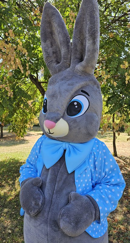 easter-bunny-mascot-saharacostumes-mascot-costumes-SDS33432432.jpg