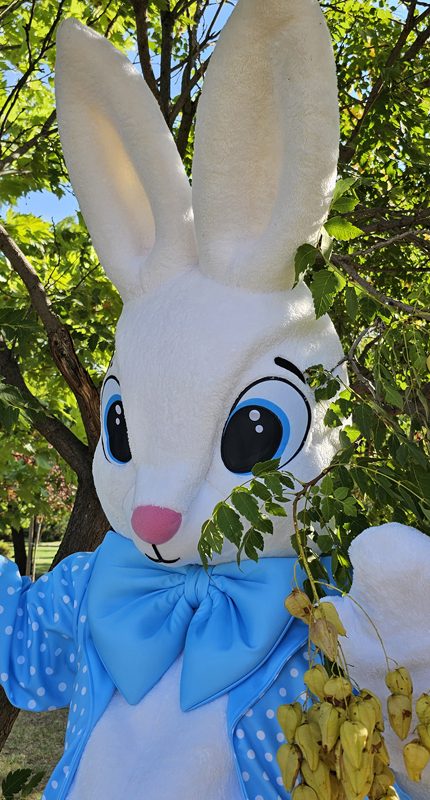 easter-bunny-mascot-saharacostumes-mascot-costumes