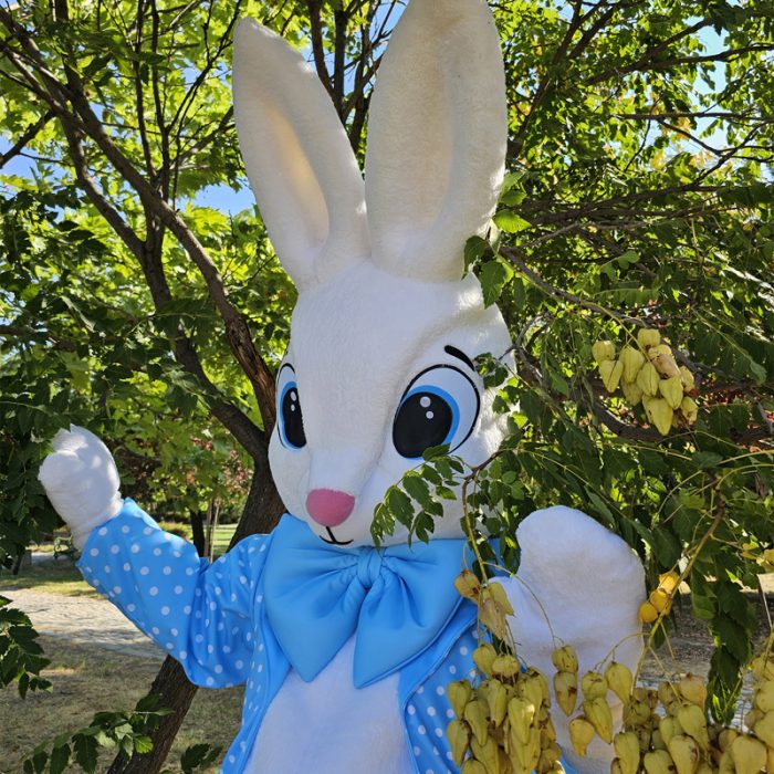 easter-bunny-mascot-saharacostumes-mascot-costumes