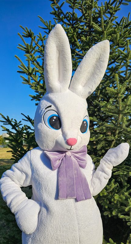 easter-bunny-mascot-saharacostumes-mascot-costume