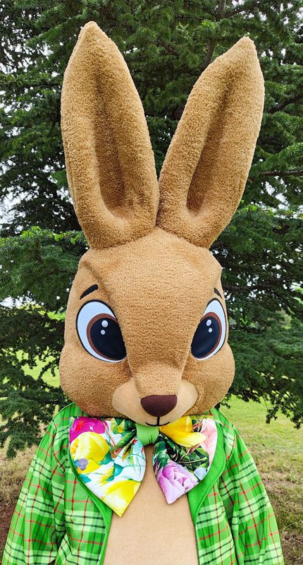 easter-bunny-mascot-saharacostumes-mascot-costumes-X2.jpg