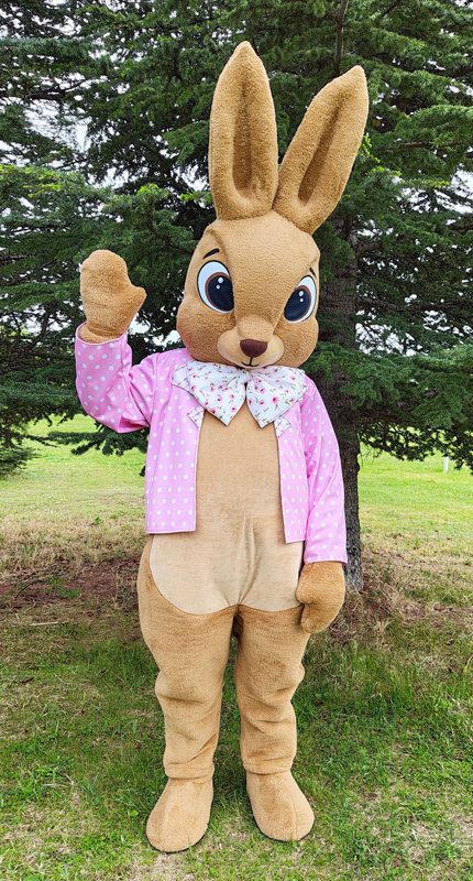 easter-bunny-mascot-saharacostumes-mascot-costumes-Z1.jpg