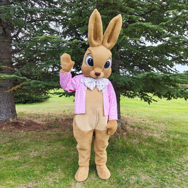 easter-bunny-mascot-saharacostumes-mascot-costumes-Z1.jpg