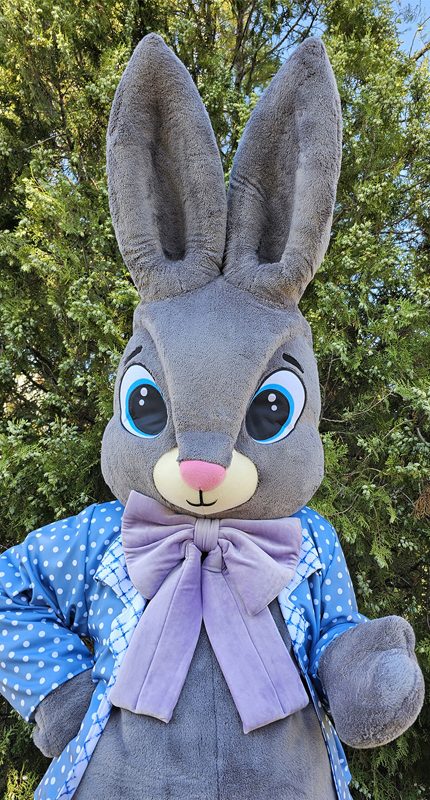 easter-bunny-mascot-saharacostumes-mascot-costumes-f2545553.jpg