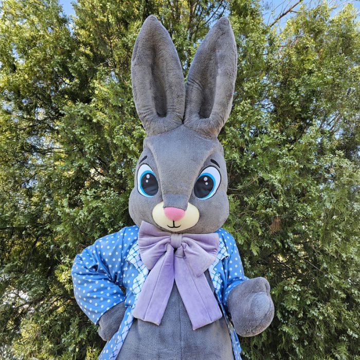 easter-bunny-mascot-saharacostumes-mascot-costumes-f2545553.jpg