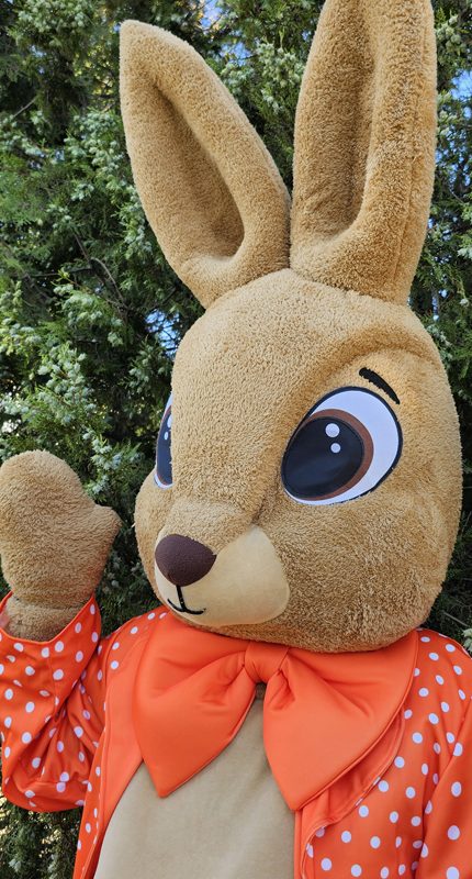 easter-bunny-mascot-saharacostumes-mascot-costumes