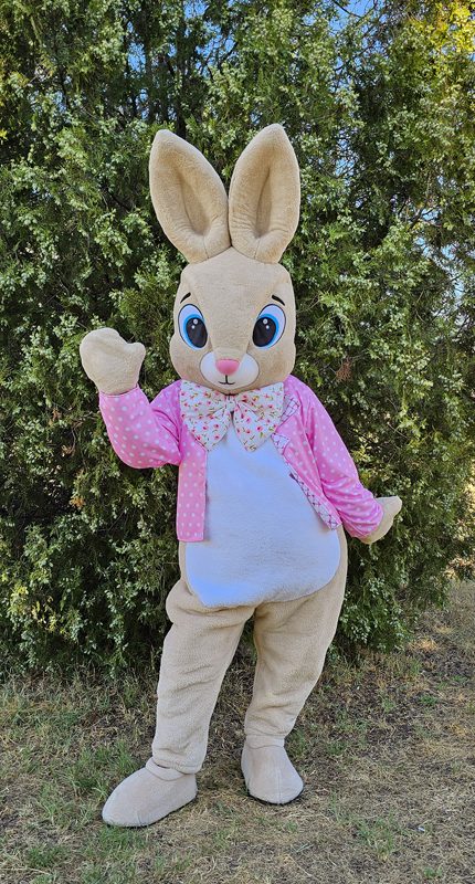 easter-bunny-mascot-saharacostumes-mascot-costumes-g2334.jpg