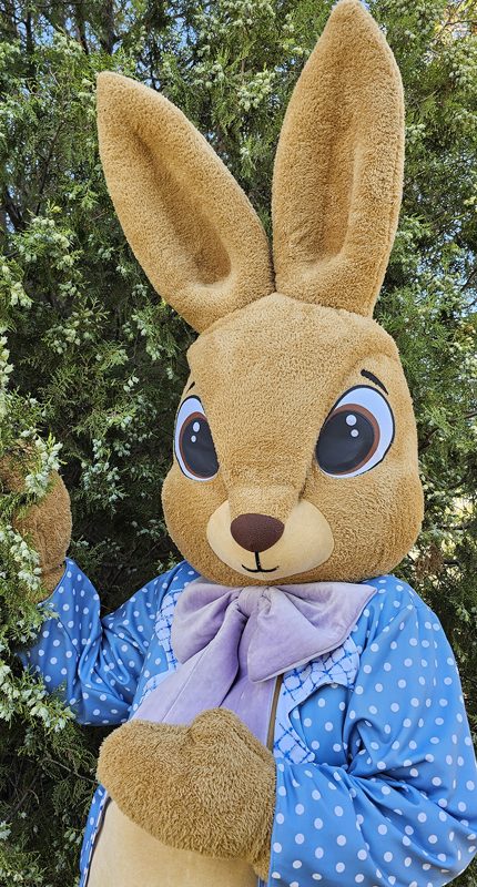 easter-bunny-mascot-saharacostumes-mascot-costumes-n551328901.jpg