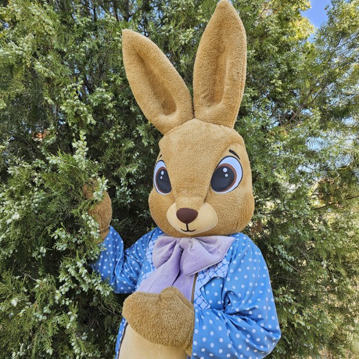 easter-bunny-mascot-saharacostumes-mascot-costumes-n551328901.jpg