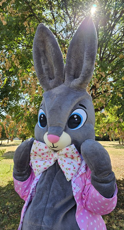 easter-bunny-mascot-saharacostumes-mascot-costumes-q314321.jpg