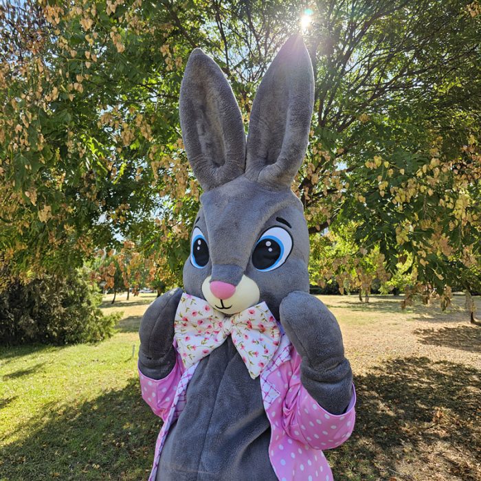 easter-bunny-mascot-saharacostumes-mascot-costumes-q314321.jpg