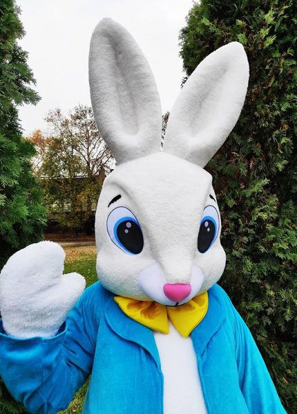 Easter Bunny Love Mascot Costume, Adult Mascot Costume, Party Mascot Costume, Event Mascot Costume, Birthday Party Costume, Luxury Mascot Costume