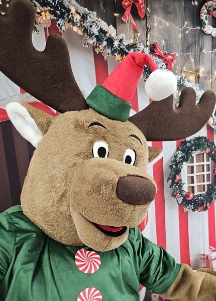 Christmas-deer-mascot-saharacostumes-mascot-costumes-05-2.jpg