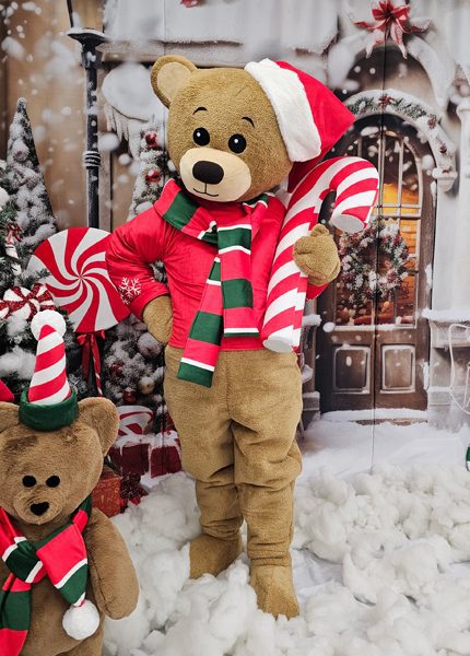 Christmas-teddy-bear-mascot-saharacostumes-mascot-costumes-011-4.jpg